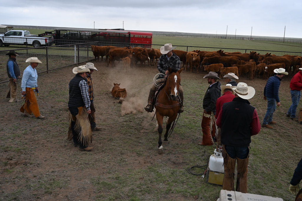 Preparing For Branding