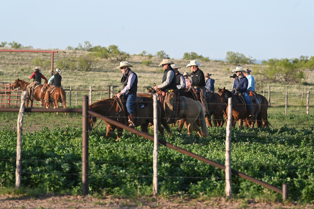 Gathered in the green